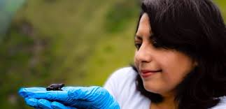 Dr Kaya Klop-Toker (@KayaKlop)