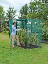Crop Cage 4 Ft X 8 Ft X 6 Ft Tall Gardener S Supply Garden Supplies Hydroponics Garden Pests