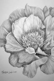 50 Easy Flower Pencil Drawings For Inspiration Pencil Drawings Of Flowers Pencil Drawings Of Nature Drawings