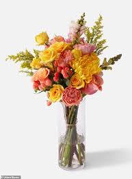Maybe you would like to learn more about one of these? From Skims To Urbanstems Companies Giving Back To Those In Need During The Covid 19 Crisis Daily Mail Online