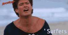 With tenor, maker of gif keyboard, add popular spongebob hasselhoff animated gifs to your conversations. David Hasselhoff Gifs Tenor