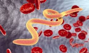 A paraziták elleni harc természetes módszere