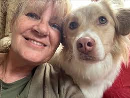 Good morning how do I make a donation please?