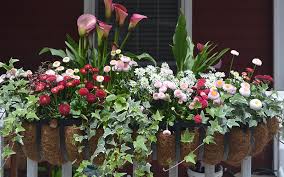 Included with each window box is a set of wall mount brackets that allow for easy. How To Plant A Colorful Window Box The Home Depot