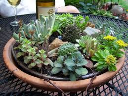 Maybe you would like to learn more about one of these? Outdoor Succulents Dummer Garden Manage Gfinger Es La App De Jardineria Mas Profesional