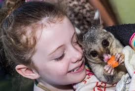 Winning at Quorn Races