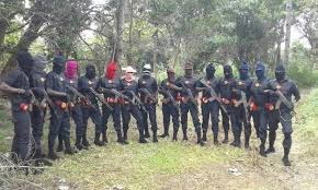 Ipob stock / opendoorthis video dives into ipob and opendoor! We Don T Buy Arms We Produce Them Locally Ipob
