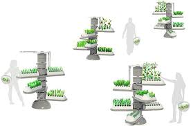 Key Benefits Key Disadvantages Of Aeroponics