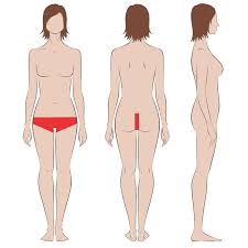 Candidates considering laser hair removal, which is approved. Female Brazilian Extended Laser Hair Removal Indy Laser