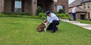 With more than a combined 40 years of experience, st. Joshua S Pest Control Linkedin