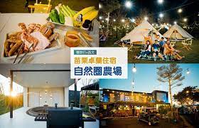自然圈農場lofi land 免裝備露營 溫泉 燒烤的文青網美豪華露營地 glamping bbq in this moment