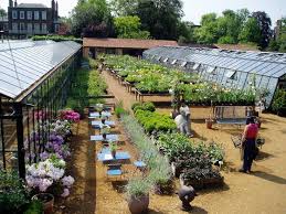 Pin By Anna V Wunderbar On Cafe Store Garden Center Displays Garden Nursery Greenhouse Cafe