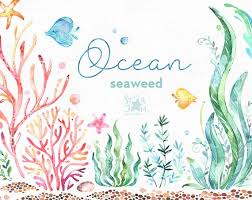 This Ocean Seaweed Watercolor Set Is Just What You Needed For The Perfect Invitations Craft Projects Paper Products Watercolor Clipart Water Plants Clip Art