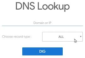 Dns Lookup Free Tool To Dig All Your Domain Records