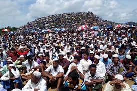 In this guide, you will find links to resources related to rohingya and the ongoing genocide in myanmar. Tens Of Thousands Of Rohingya Mark Genocide Day Voice Of America English