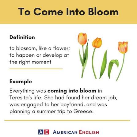 To bloom means to blossom. It describes when the bud of a plant grows into  a flower. We can also use this metaphorically to describe some aspect of  our life. 🌻 Has