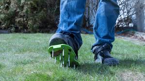 This will remove part of the soil from the roots and is known to improve. What Are Aerator Shoes And Do They Really Work Reviewed