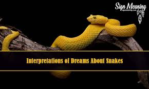 Top Interpretations Of Dreams About Snakes Dream Meanings Meant To Be Spiritual Meaning Of Dreams