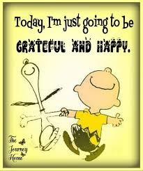 Wanda Engelman (wandalovespittbulls)