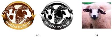 Kalo soal ngopi maa owe maklum rada acak acakan sekarang lagi nyoba maharaja papua wamena, aceh gayo dan sumatra mandheling kali ini roaster nya gak main 'signature flavor' tiap biji single origin punya karakter yg bisa dibedakan, menurut owe yg. Sustainability Free Full Text Market Oriented Sustainability Of Sjenica Sheep Cheese Html