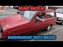 Image result for Cobalt Blue 1994 Reliant