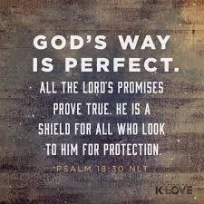 K Love Daily Verse God S Way Is Perfect All The Lord S Promises Prove True He Is A Shield For All Who Look To Him For Protection Bible Quotes Words Quotes