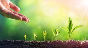 Check spelling or type a new query. Methodes Simples Pour Arroser Ses Plantes Lorsque L On Est Absent