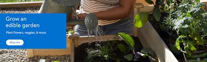 Last year, in 2019, walmart dropped some amazing deals on things walmart's app allows you to schedule online order pickups with ease and use walmart pay (via your phone) to check out. Live Plants Walmart Com