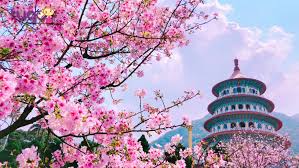 Nếu bạn muốn tự xin visa đài loan bạn cần phải trực tiếp đến văn phòng kinh tế đài bắc tại hà nội. Du Lá»‹ch Ä'ai Loan Thang 3 Nen Ä'i Ä'au Nhá»¯ng Lá»… Há»™i Tugo Com Vn