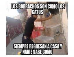 Borrachos Chistosos Funny Friday Memes Funny Photos Of People Humor