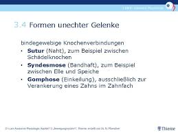Finden sie jetzt zuverlässige informationen Bewegungssystem Grundlagen Im Berblick 1 2 3 4
