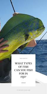 What Types Of Fish Can You Fish For In Fiji Fiji Pocket Guide