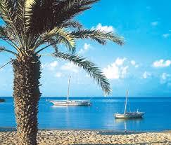 Aug 29, 2012 · die meisten sind teil gut entwickelter touristenorten, wie sousse oder hammamet, doch ein paar liegen etwas abgelegener der besuchermassen, wie el haouaria, an der spitze des cap bon, oder der strand plage de chaffar in der nähe von sfax. Kerkennah Tunisia Tunisia Photo Beach