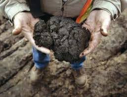 2007, robert reginald and douglas menville, forgotten fantasy: Extreme Oil Scraping The Bottom Of Earth S Barrel New Scientist