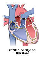 Latidos Cardiacos Rapidos Lentos E Irregulares Arritmia Healthychildren Org