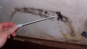Currently, there are no official government licenses or certifications for professional mold inspectors, which means there are no legal standards or government regulated credentials. Free Mold Inspection At Your Washington D C Business Envirotex