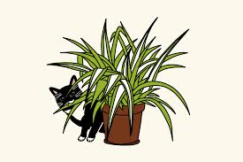 20 toxic and poisonous plants for cats. 10 Cat Safe Plants That Are Also Hard To Kill