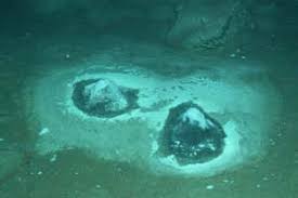 Deep Sea Discovery Suggests World S Oldest Fossils Misunderstood New Scientist