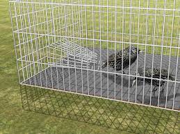 We did not find results for: 11 Ways To Get Rid Of Starlings Wikihow