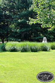 Ornamental Grasses Planted Around Above Ground Pool Above Ground Pool Landscaping Pool Landscaping Backyard Pool Landscaping