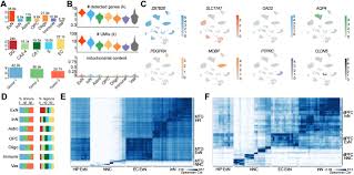 Ascii characters only (characters found on a standard us keyboard); Molecular Diversity Among Adult Human Hippocampal And Entorhinal Cells Biorxiv
