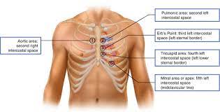 The apgar score is a method to quickly summarize the health of newborn children against infant mortality. Introduction To Cardiac Auscultation Springerlink