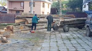În acest moment, în depozitele romsilva există un disponibil de 247.791 metri cubi lemn pentru foc, iar până la finalul anului, în urma lucrărilor silvice, vor mai fi oferiţi populaţiei alţi circa. PreÅ£ul Lemnului De Foc A Explodat Magazinele De Specialitate Vand Deja Metrul Ster Intre 347 Si 455 De Lei AflÄƒ Care Sunt PreÅ£urile Pe PiaÅ£a LiberÄƒ RÄƒsunetul