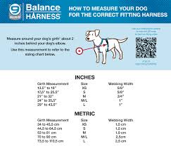 blue 9 balance harness