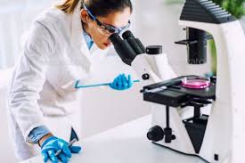 Scientist Researching In Laboratory Life Science Biology Jobs Molecular Biology Jobs