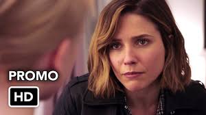 US TV Mania: Chicago PD