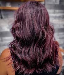 The hair dye has a pleasant scent and leads to brilliant and long lasting color on your hair. 30 Latest Plum Hair Color Ideas For 2021 Hair Adviser