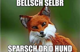 Comics/two buttons (two buttons , comics memes, memes create )/сomics meme: Der Sparfuchs Ist Ein Sogenanntes Advice Animal Und Gibt Originelle Schwabische Tipps Zum Geld Sparen Stuttgarter Nachrichten
