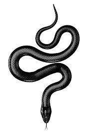 Snake Png Black Snake Tattoo Snake Tattoo Design Black Tattoos