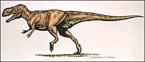 Bbc News Sci Tech Largest Meat Eating Dinosaur Discovered